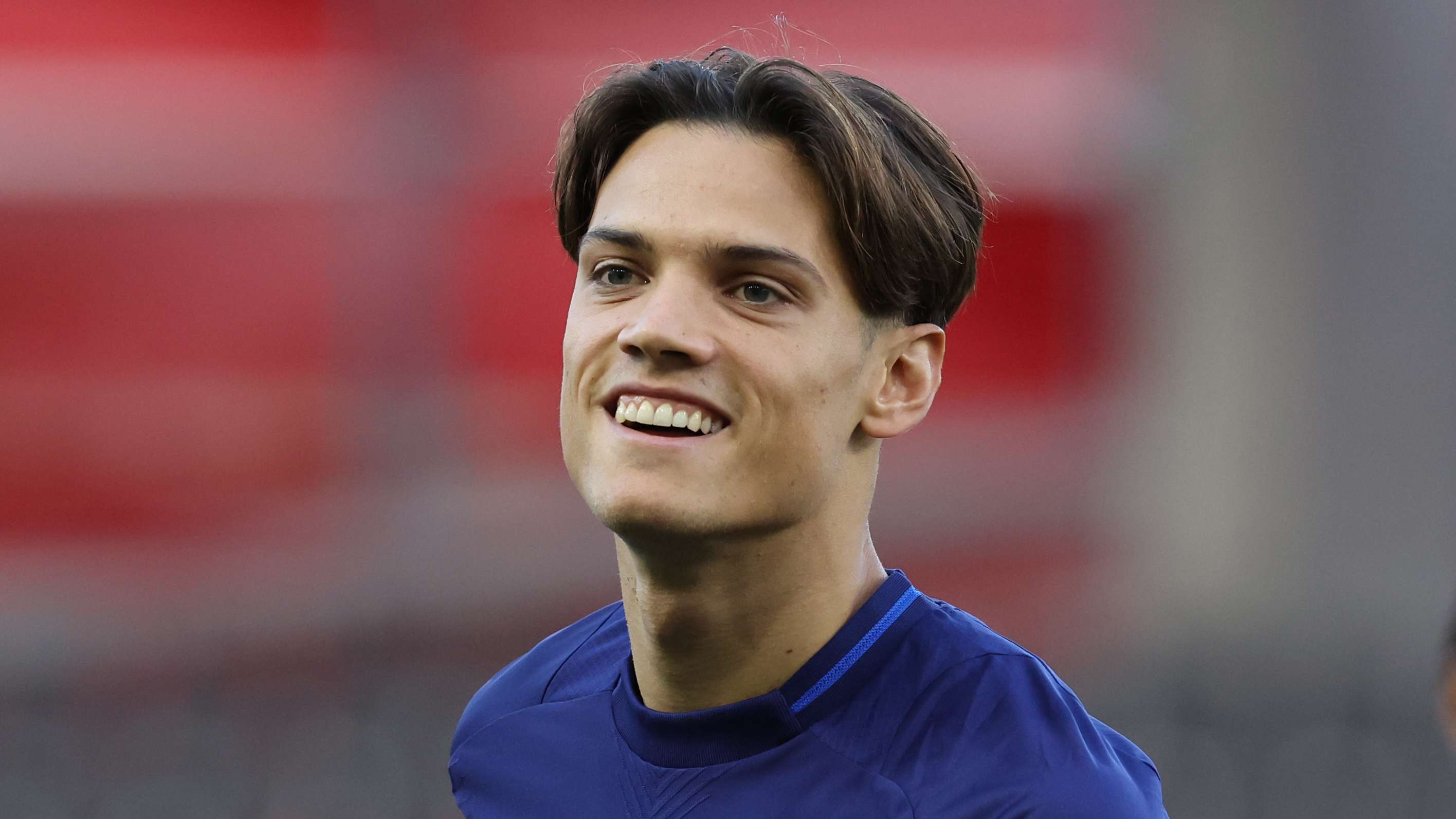 草坪的水分 草坪的水分