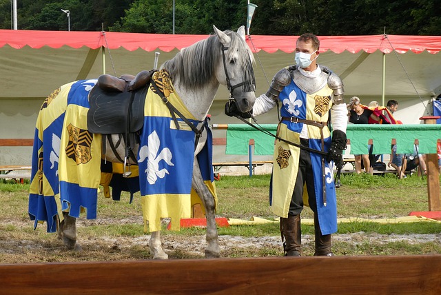 荣誉和排名 荣誉和排名