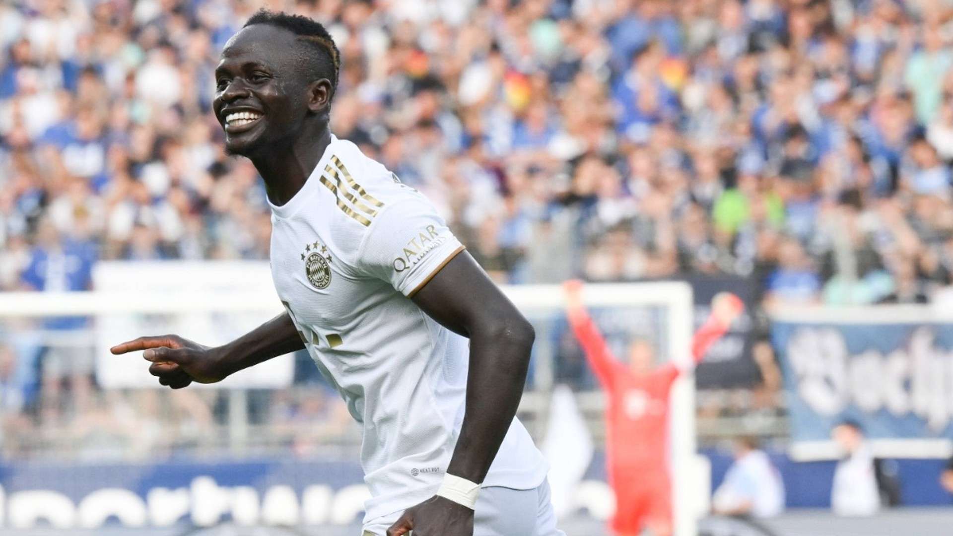 了极高的竞 了极高的竞