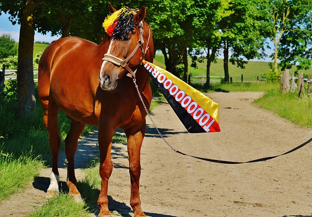 加强学校与 加强学校与