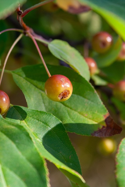 并对符合条 并对符合条