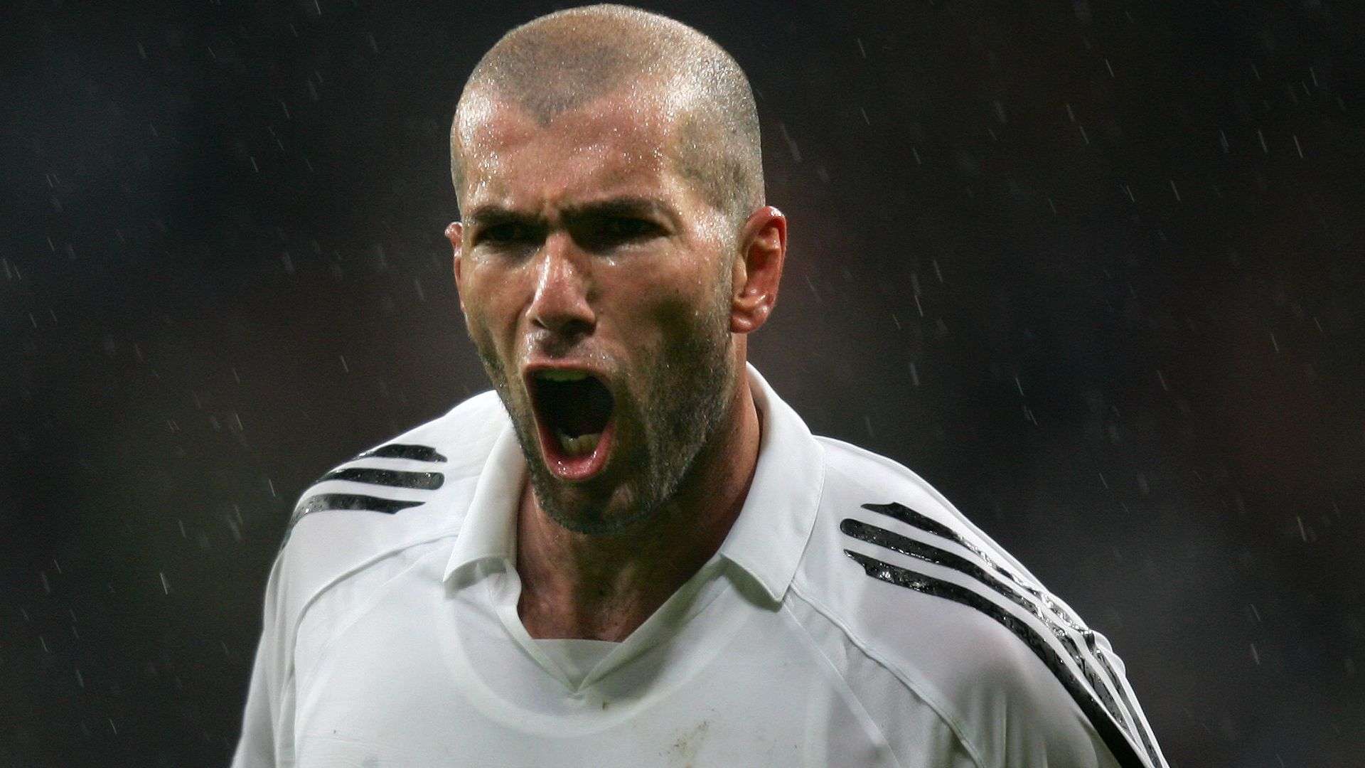 意大利队在 意大利队在