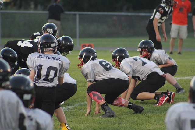 日本的国安 日本的国安