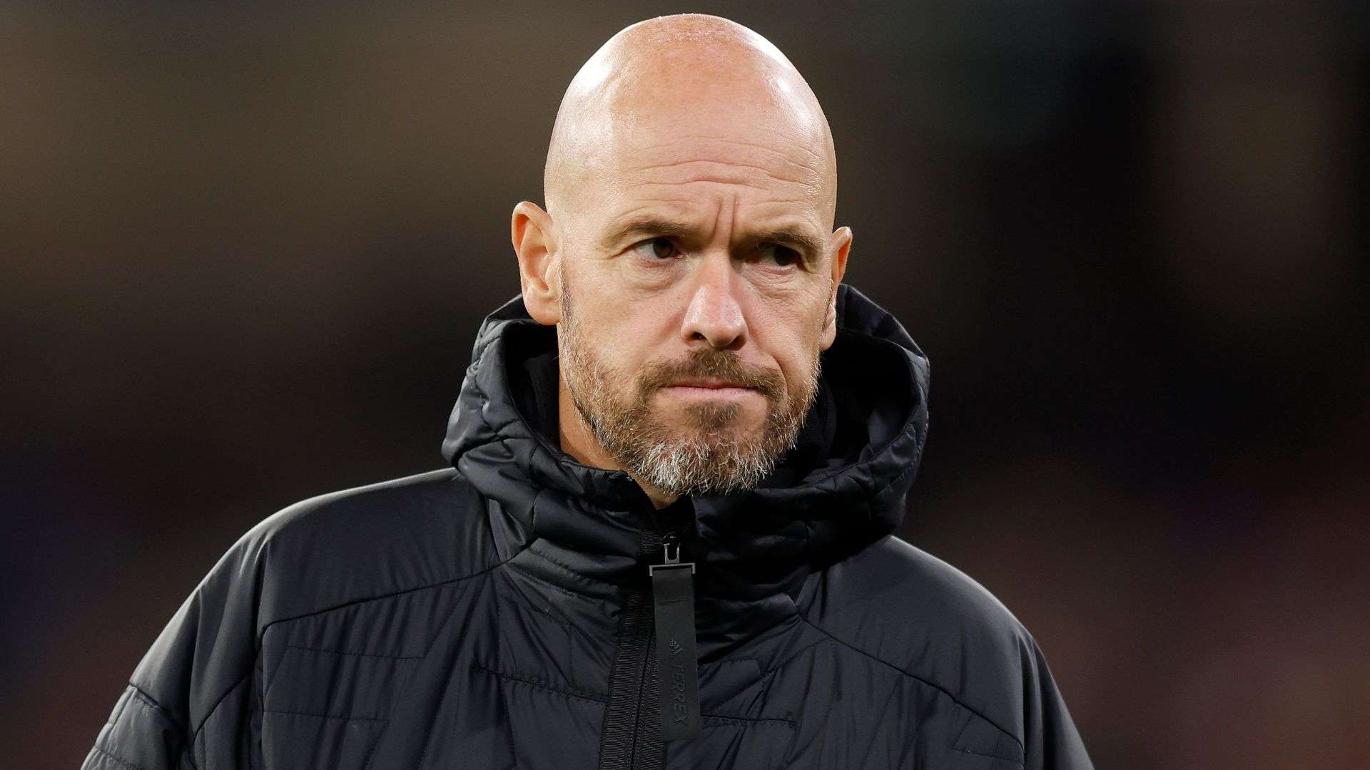 重要一员 重要一员